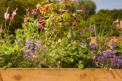 4f22715b-e98f-483c-bc22-6726f1a96fa4